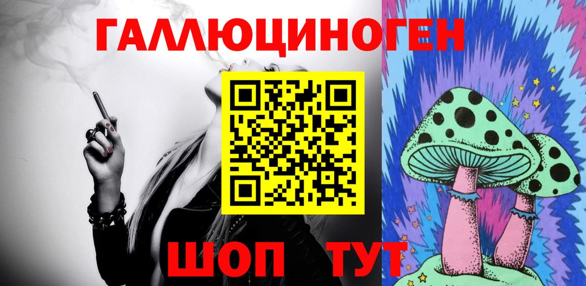 Галлюциногенные грибы Psilocybine cubensis Коркино