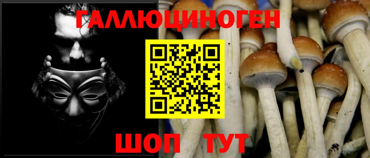 Коркино  Псилоцибиновые грибы Psilocybine cubensis  Вход с VPN  Галлюциногенные грибы мухоморы 